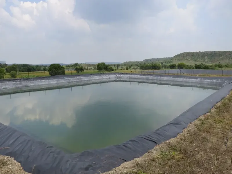 Farm Lake Liner Sheets